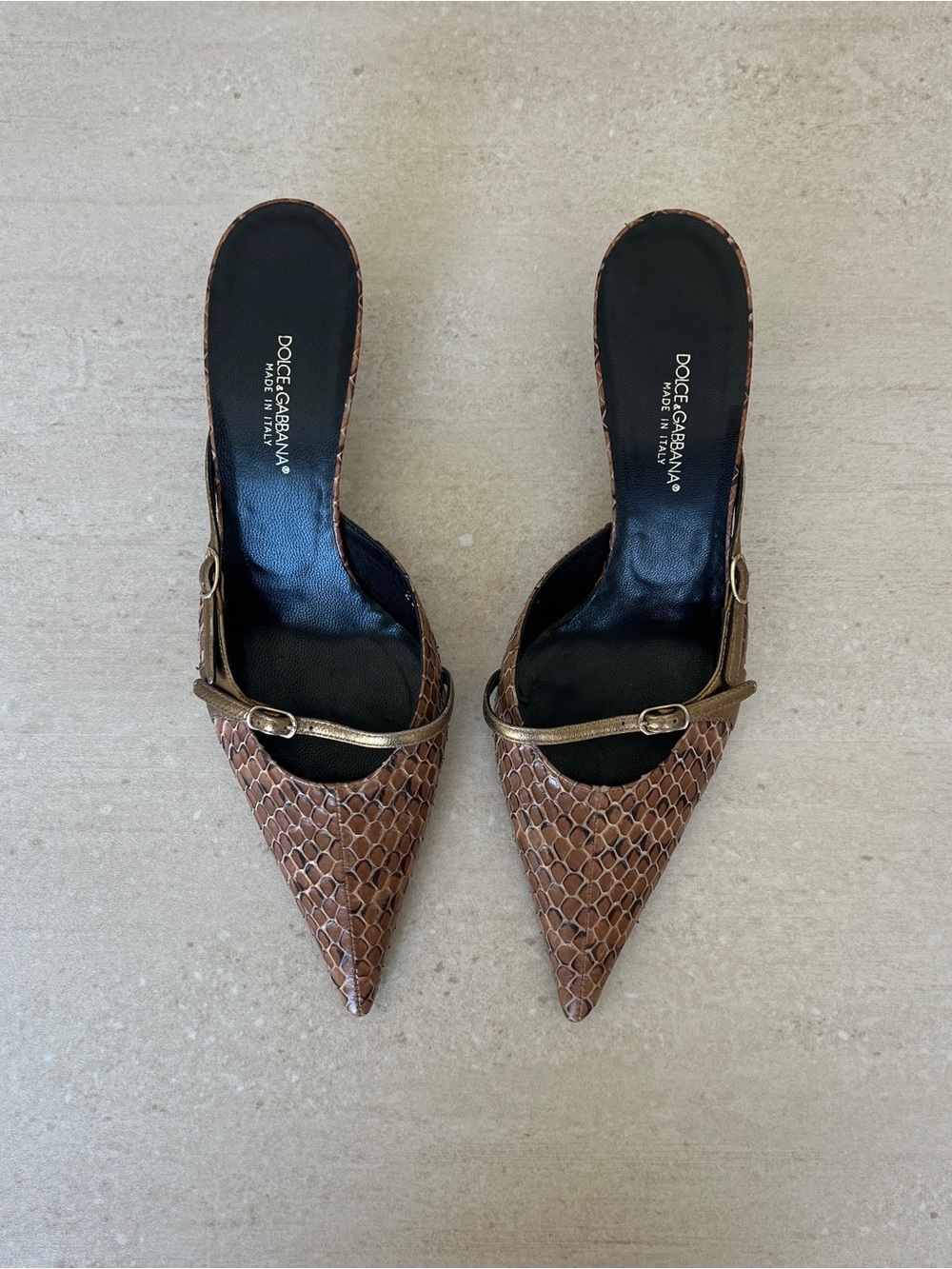 Dolce & Gabbana Brown Python Pointed Toe Mules with Gold Strap